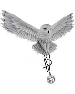 Magic Snowy Owl with Pentagram Pendant Wall Sculpture